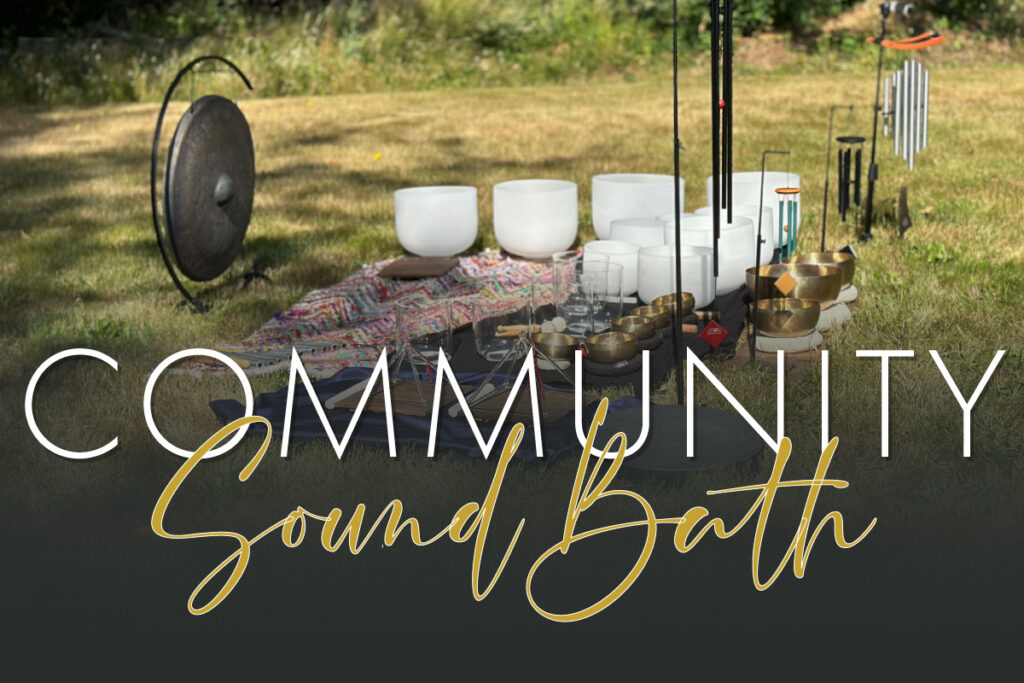 Image of crystal bowls gongs chines and himalalyn bowls outside in nature in Onalaska, WA at GlassWing Medcine.