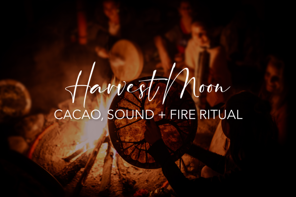 photo of a person playing a prayer drum and a group of people around a fire for the harvet full moon cacao and fire ritual at Onalaska, WA for Glasswing Medicine