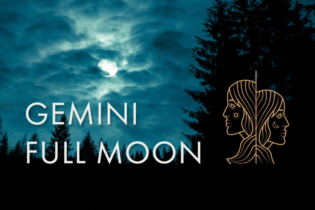 photo of a clouds over a full moon surrounded by evergreen during with a blue haze.