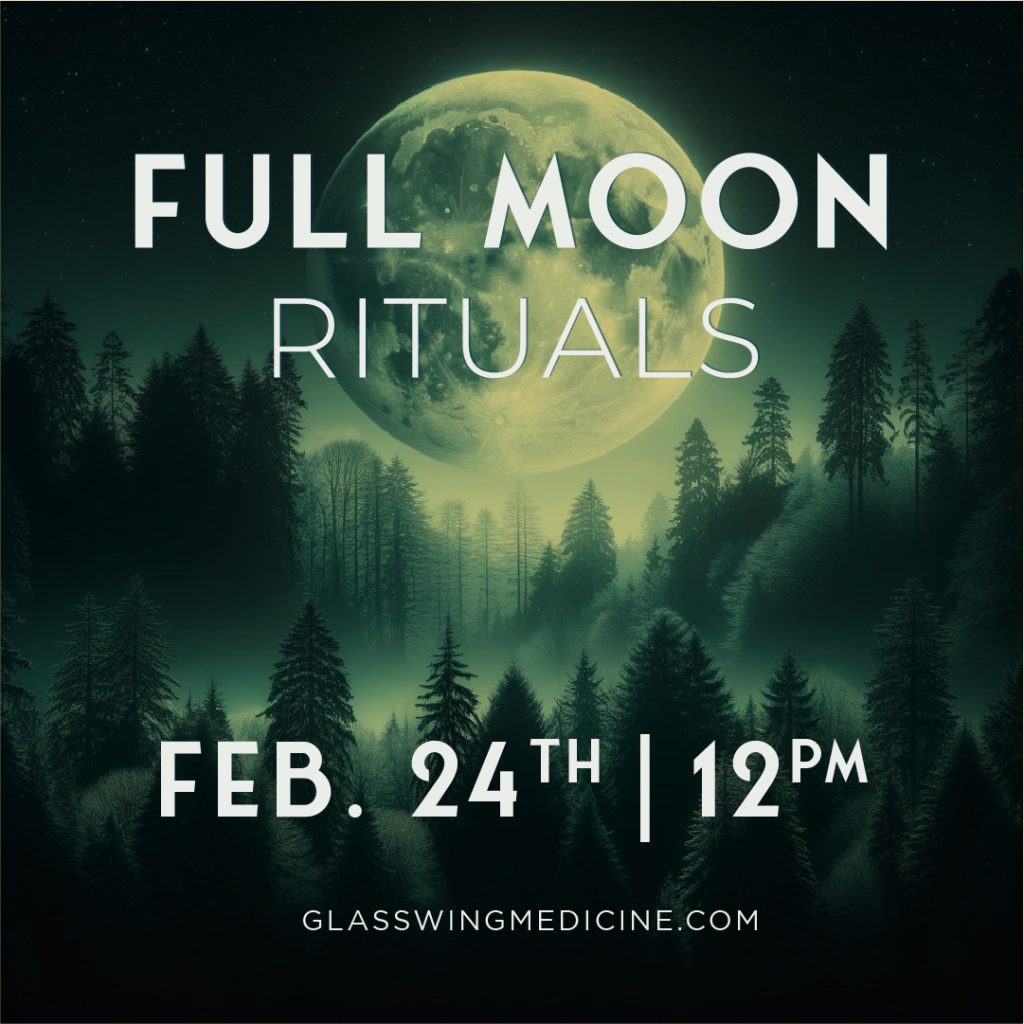image of a moon in the forest for a full moon sound bath February 24 2024