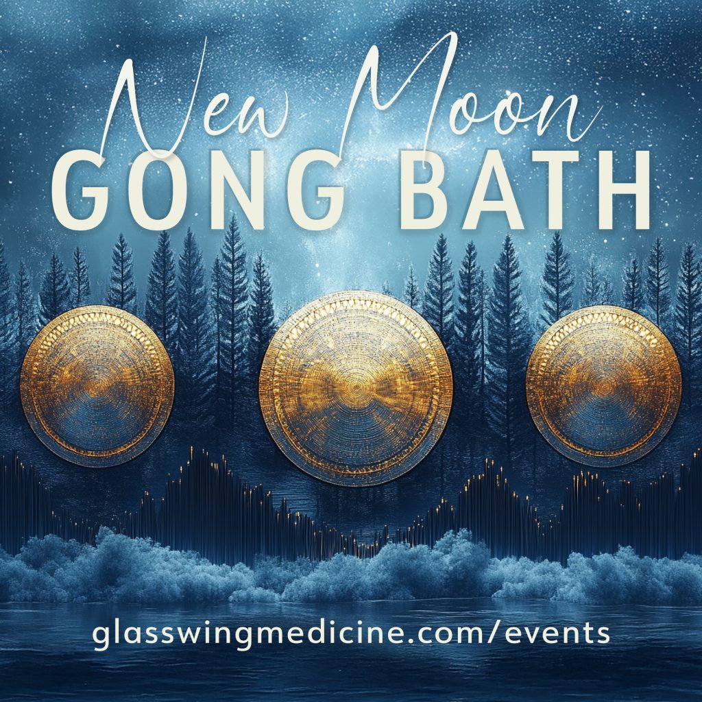 Image of gongs floating in the forest for the New Moon Sound Bath Event