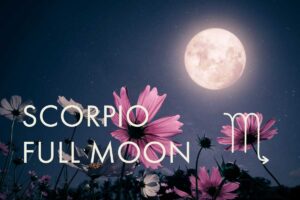 "A full moon glows brightly in a deep blue night sky above pink and white wildflowers, with the text "Scorpio Full Moon" overlaid in white lettering."