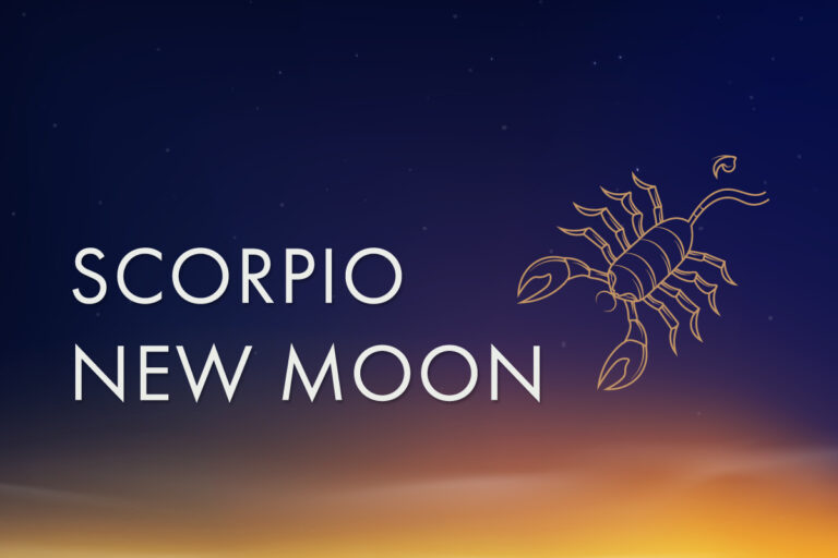 Blog post header for the scorpion new moon with a photo of a scorpion over a dark blue sky background.