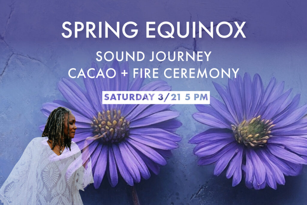 photo of angela of GlassWing Medicine looking at coneflowers on a purple background